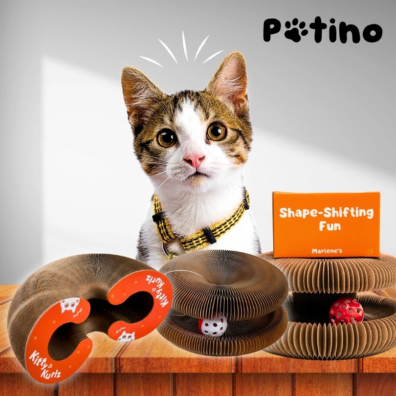 Интерактивна Котешка Драскалка